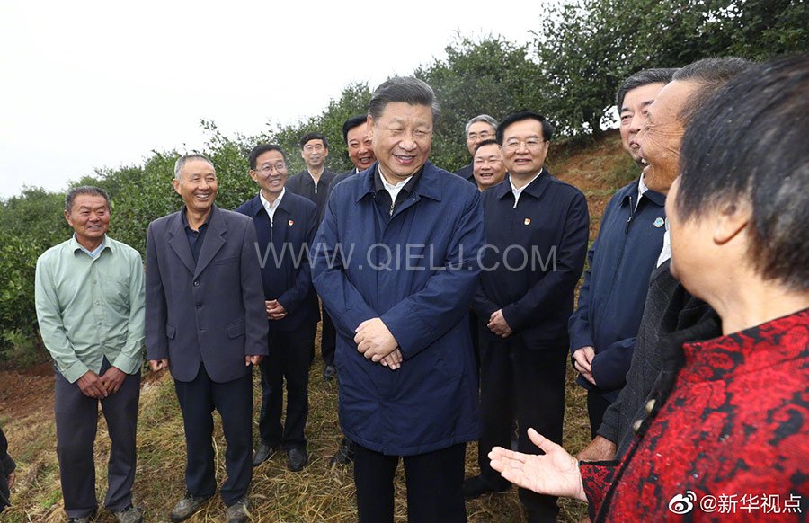光山油茶籽榨油設(shè)備，山茶籽油榨油機(jī)廠家(圖2)