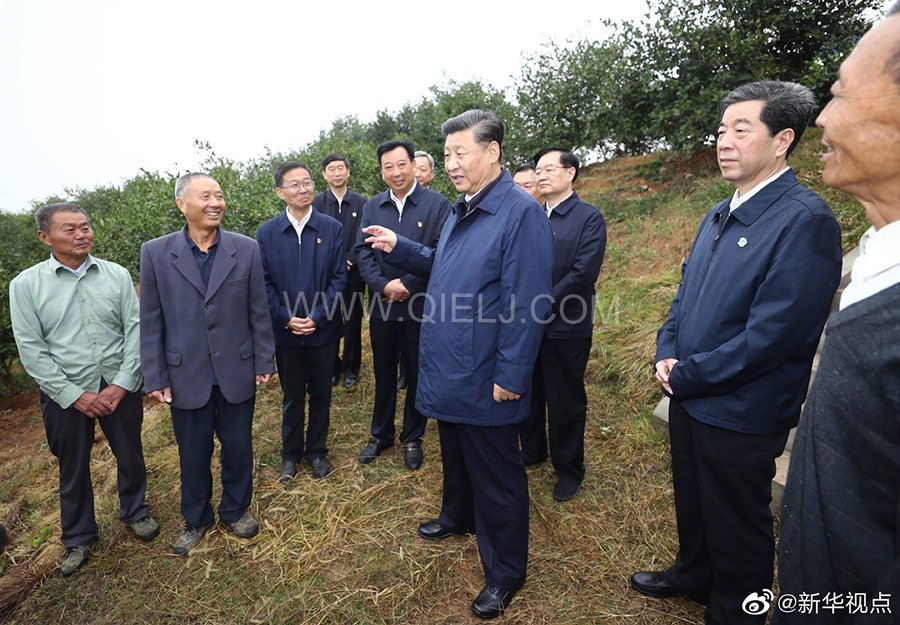 光山油茶籽榨油設(shè)備，山茶籽油榨油機(jī)廠家(圖3)