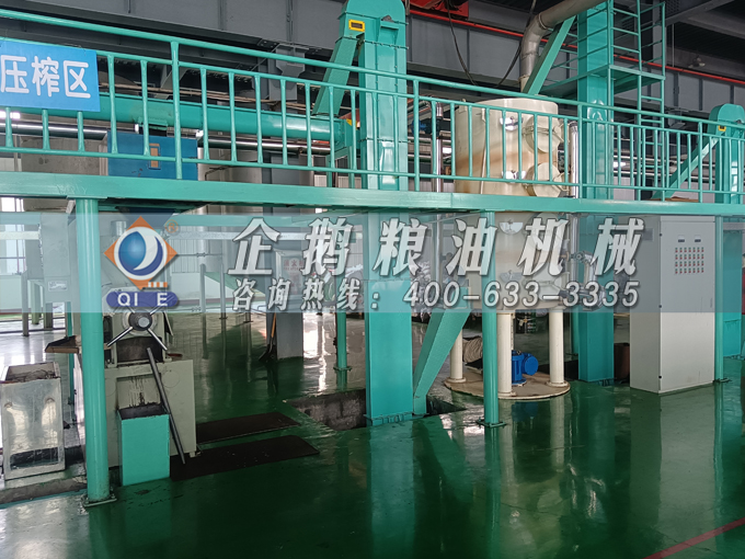 企鵝牌茶籽油雙螺桿榨油機(jī)，用心制造獲得客戶認(rèn)可(圖2)